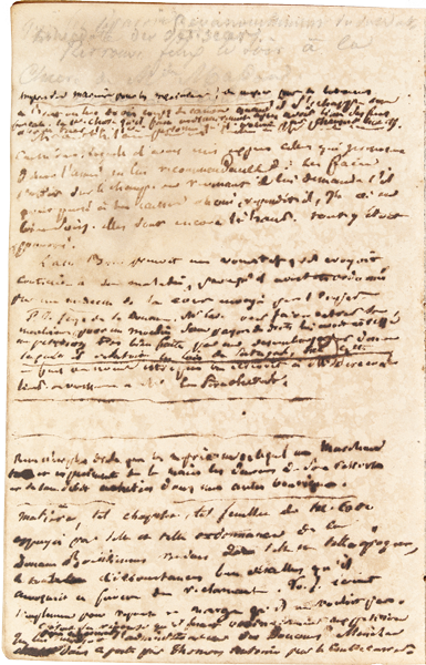 Esta imagem  é uma página do Caderno de Aimé-Adrien Taunay. A página, em sentido vertical, apresenta inscrições manuscritas e ilegíveis do autor em tinta ferrogálica.