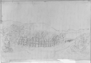 Esquisse d'un chemin bordé d'une clôture, de plantes et d'un véhicule à traction animale guidé par une personne debout, à côté ; au fond, un terrain élevé apparent. Page du manuscrit d'Aimé-Adrien Taunay. Archives Musée Pauliste de l'USP (São Paulo)